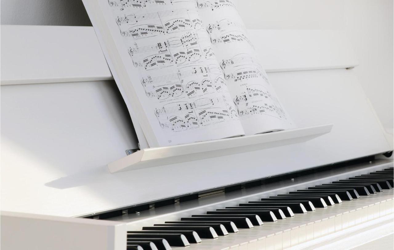 Musica Apartment ออลเพนิทซ์ ภายนอก รูปภาพ